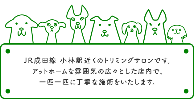 JR成田線 小林駅近くのトリミングサロンです。アットホームな雰囲気の広々とした店内で、一匹一匹に丁寧な施術をいたします。