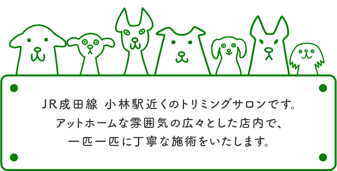 JR成田線 小林駅近くのトリミングサロンです。アットホームな雰囲気の広々とした店内で、一匹一匹に丁寧な施術をいたします。